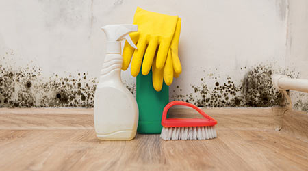 cleaning supplies